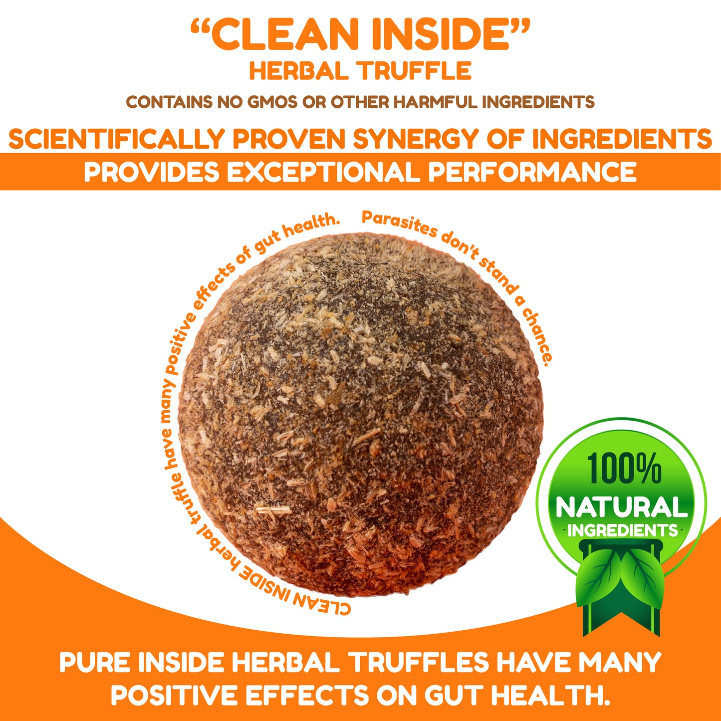 "CLEAN INSIDE" Anti Parasitic Unique Herbal Truffle DEEP CLEANING  (24pcs)216g