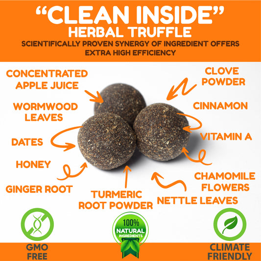 "CLEAN INSIDE" Anti Parasitic Unique Herbal Truffle DEEP CLEANING  (24pcs)216g